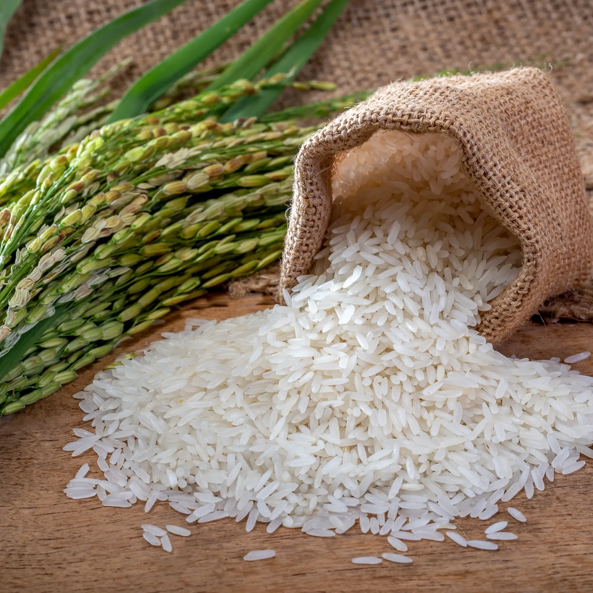 Rice & Atta
