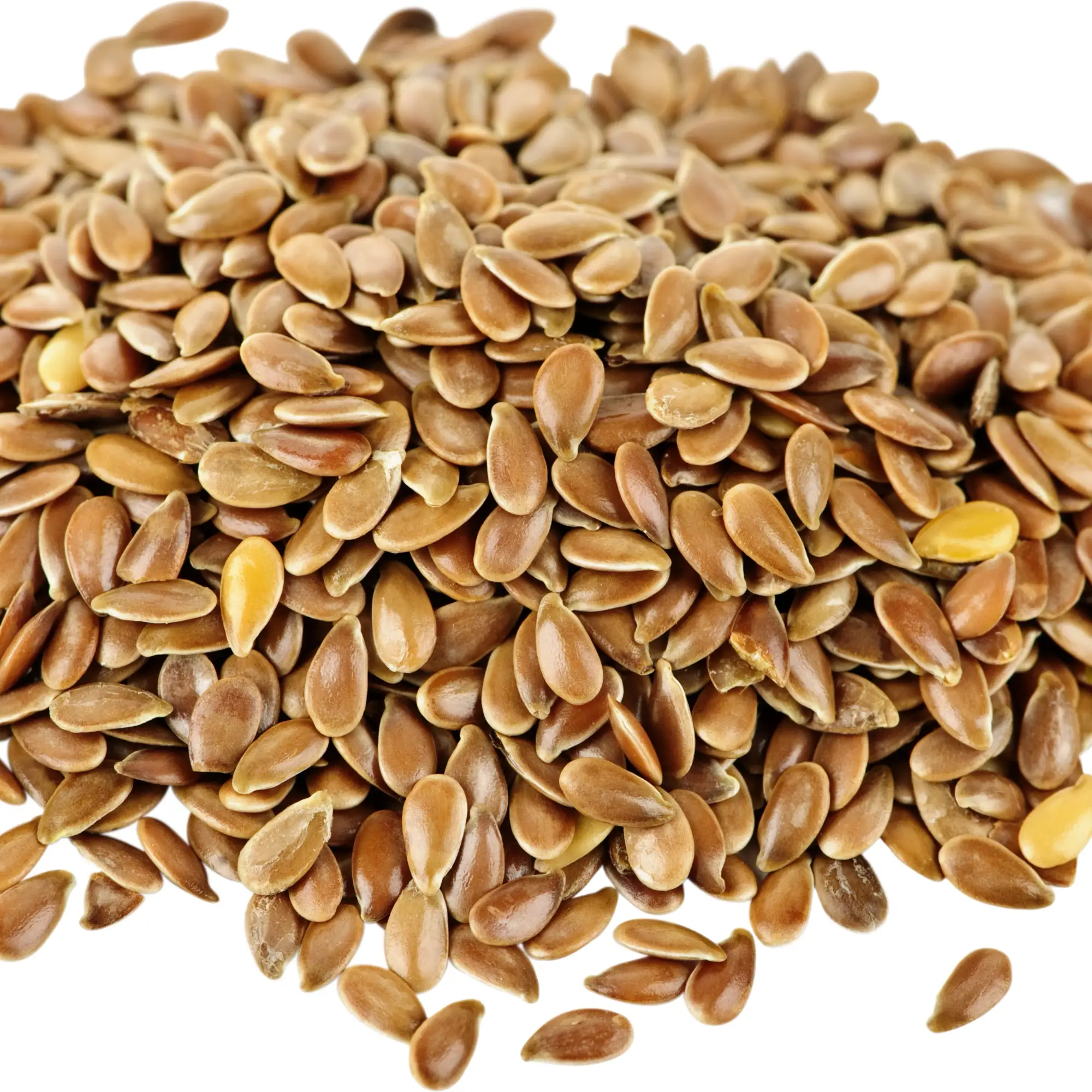 Healthy Seeds