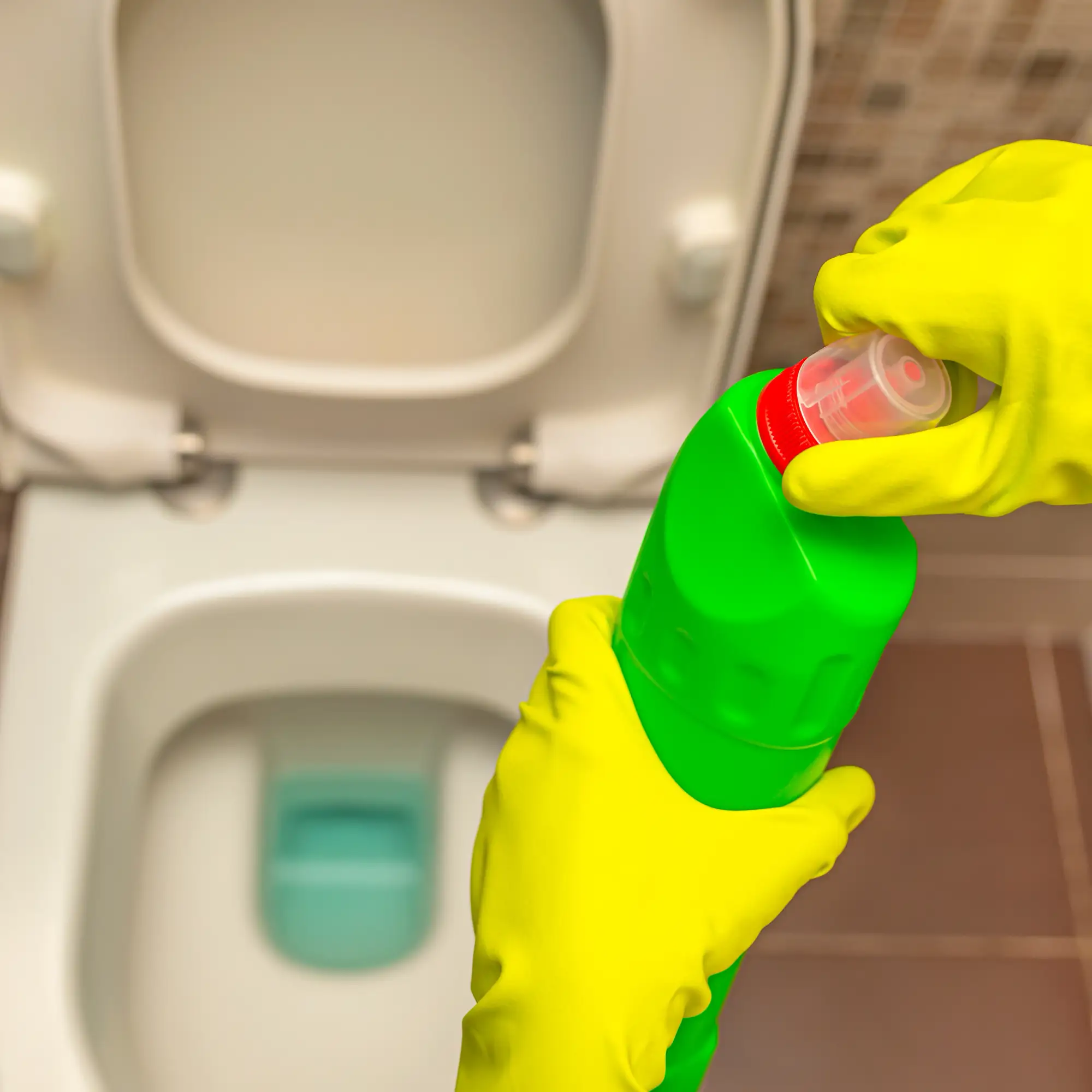 Toilet Cleaners