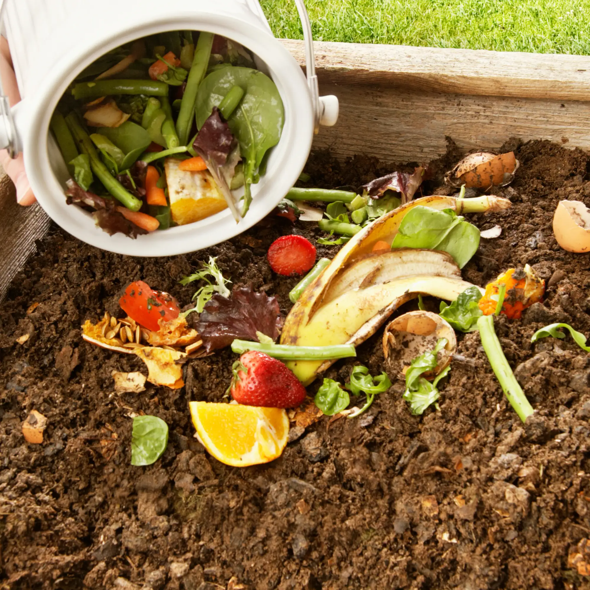 Organic Compost